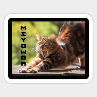 Cat Yoga Meyowga Yoga Pose Sticker